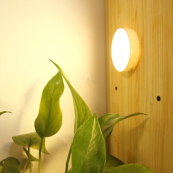 LED Cabinet Light 1