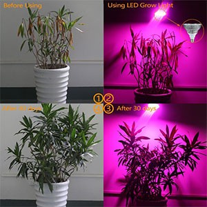 LED Grow Light Bulb 03